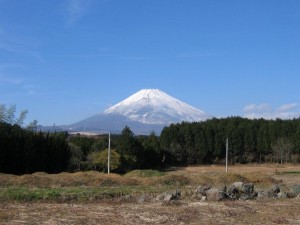 富士山